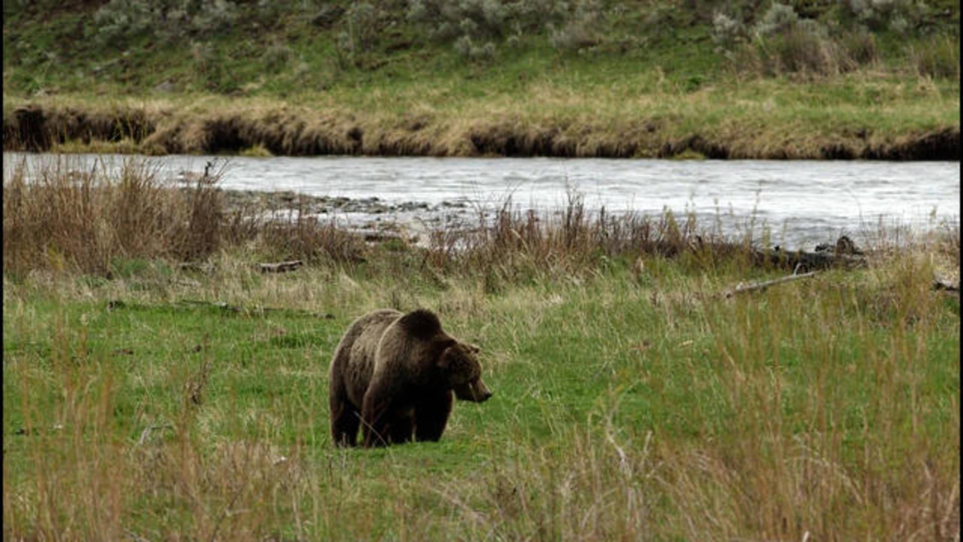 Still from Treating COVID-19 Today, The Lincoln Project, Grizzlies