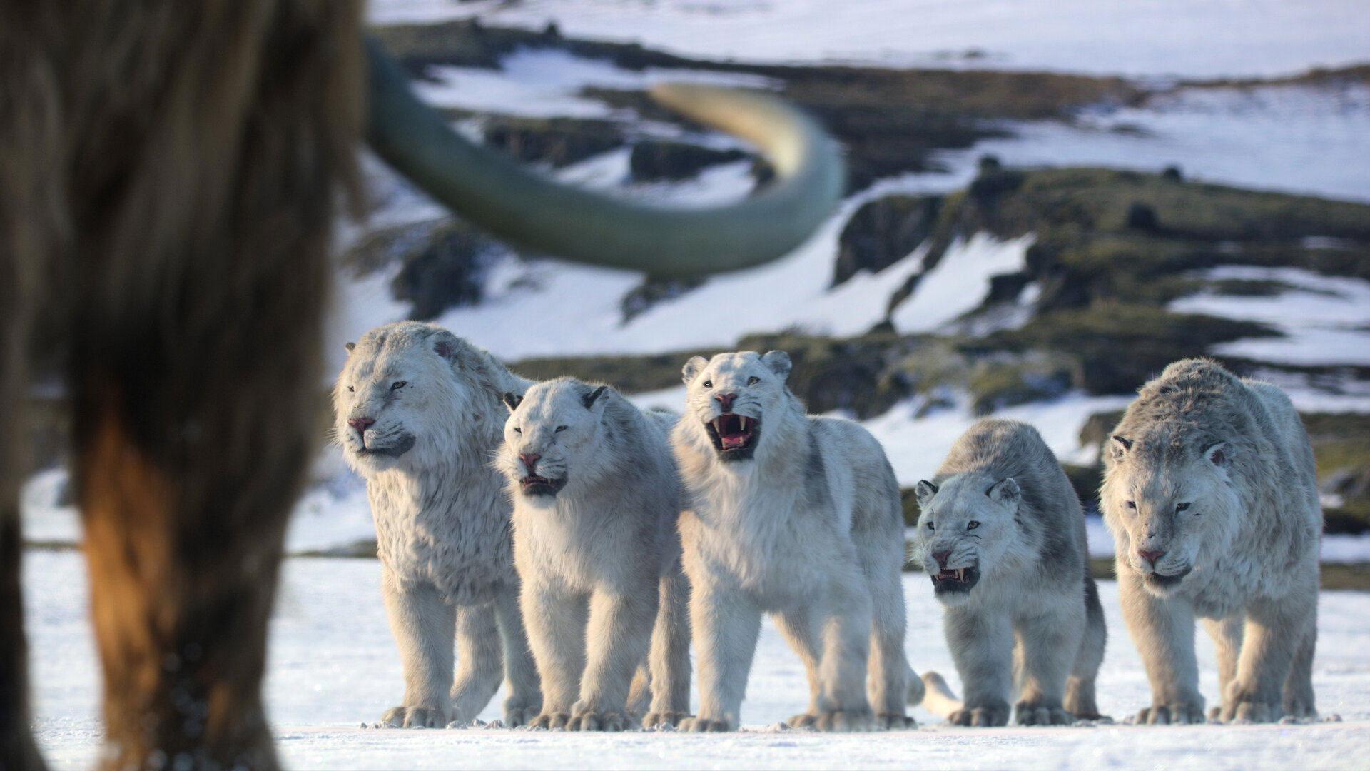 Still from Chapter 8: Age of Ice and Fire