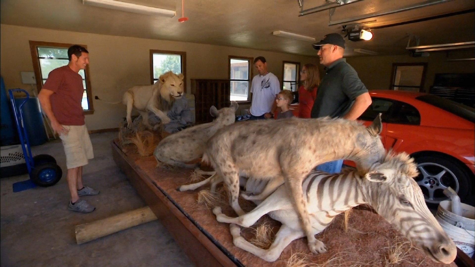 Still from Safari So Good