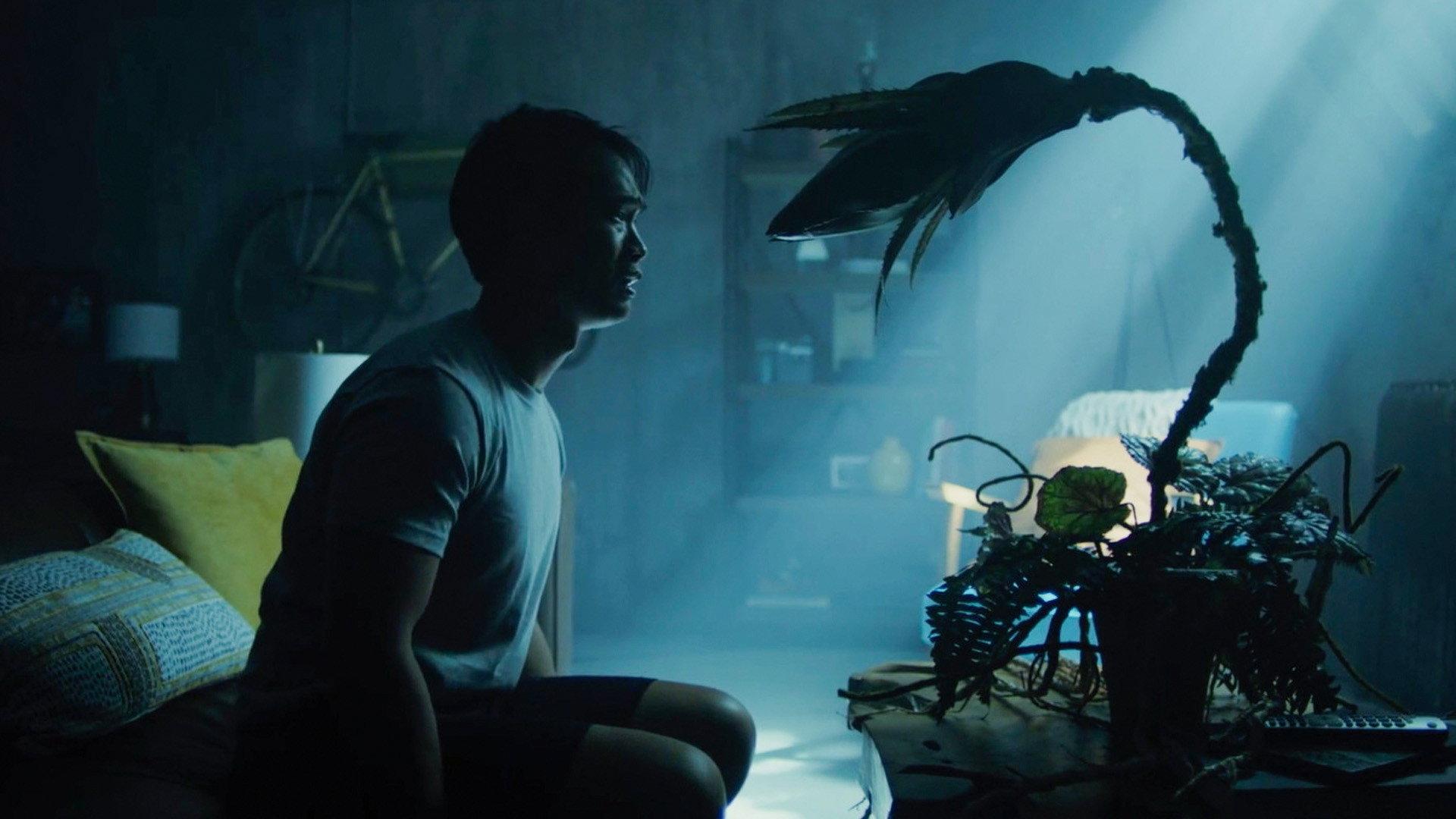 Still from Plant Life