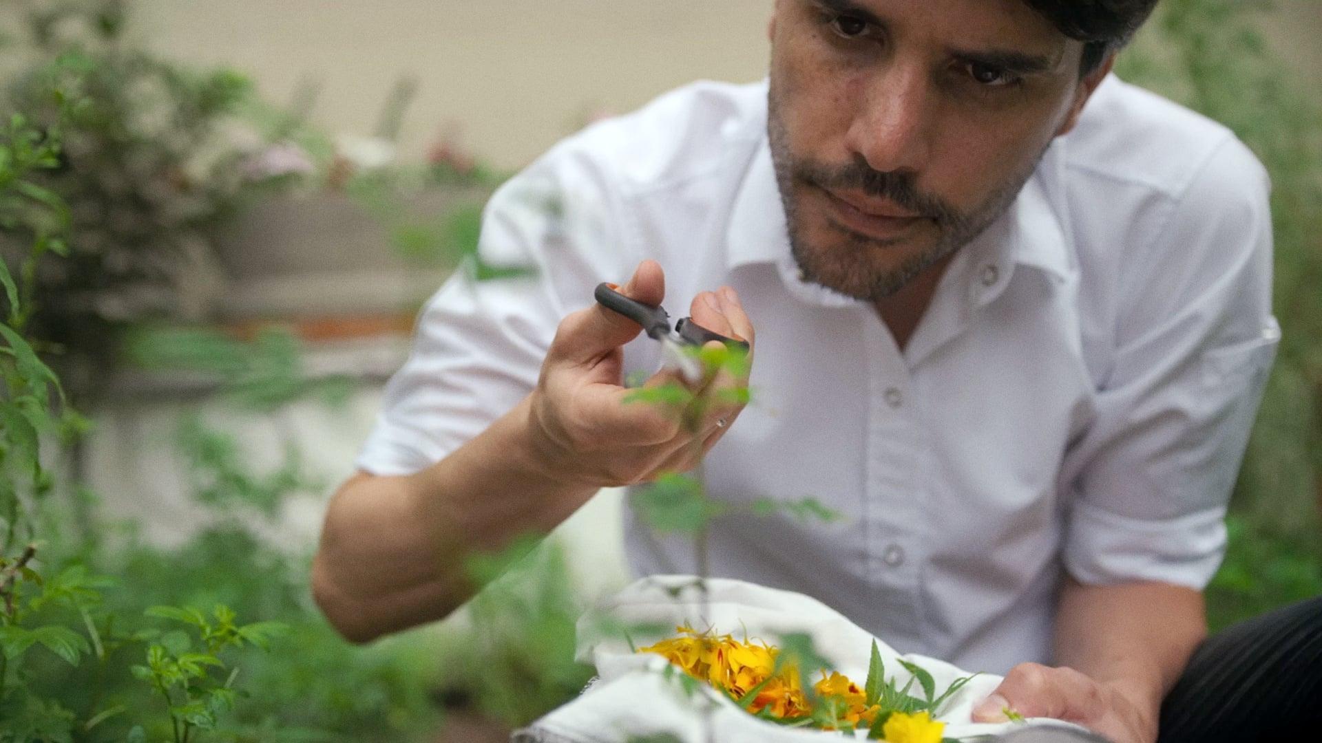 Still from Virgilio Martínez
