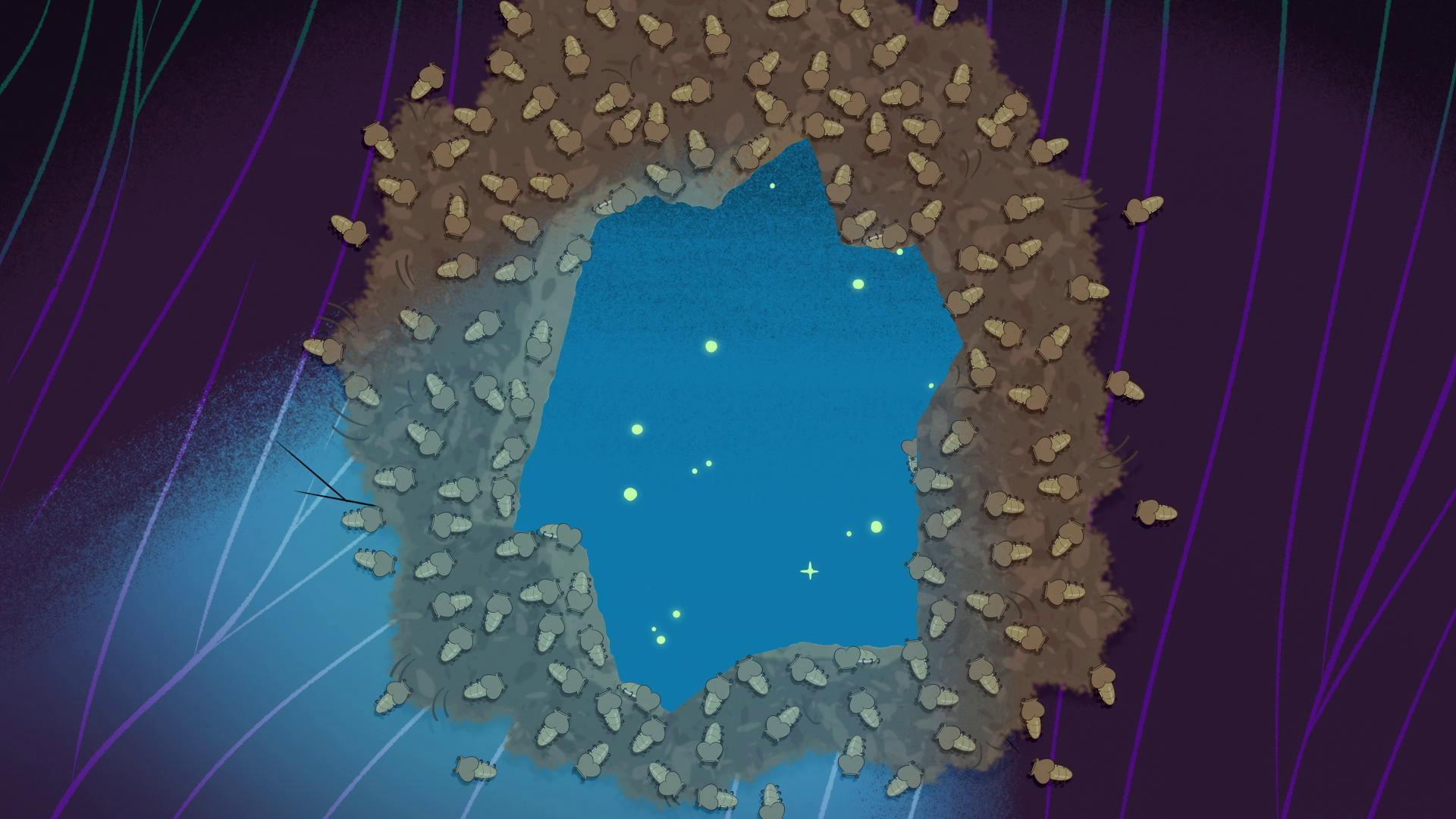 Still from The Hole Truth / The Gift / Pest Friends