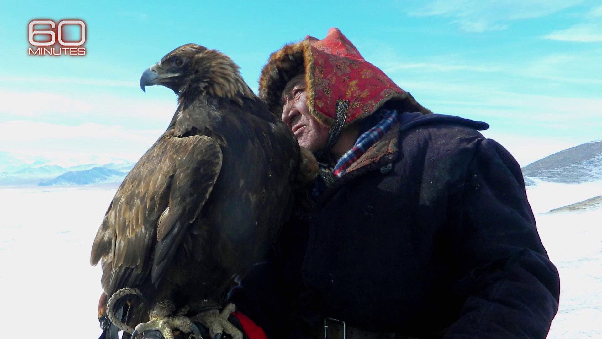 Still from Genetic Genealogy, Off the Rails, Fly Like an Eagle