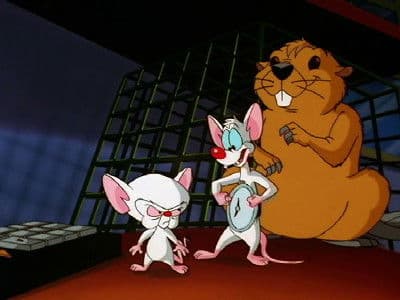 Still from Leave It to Beavers