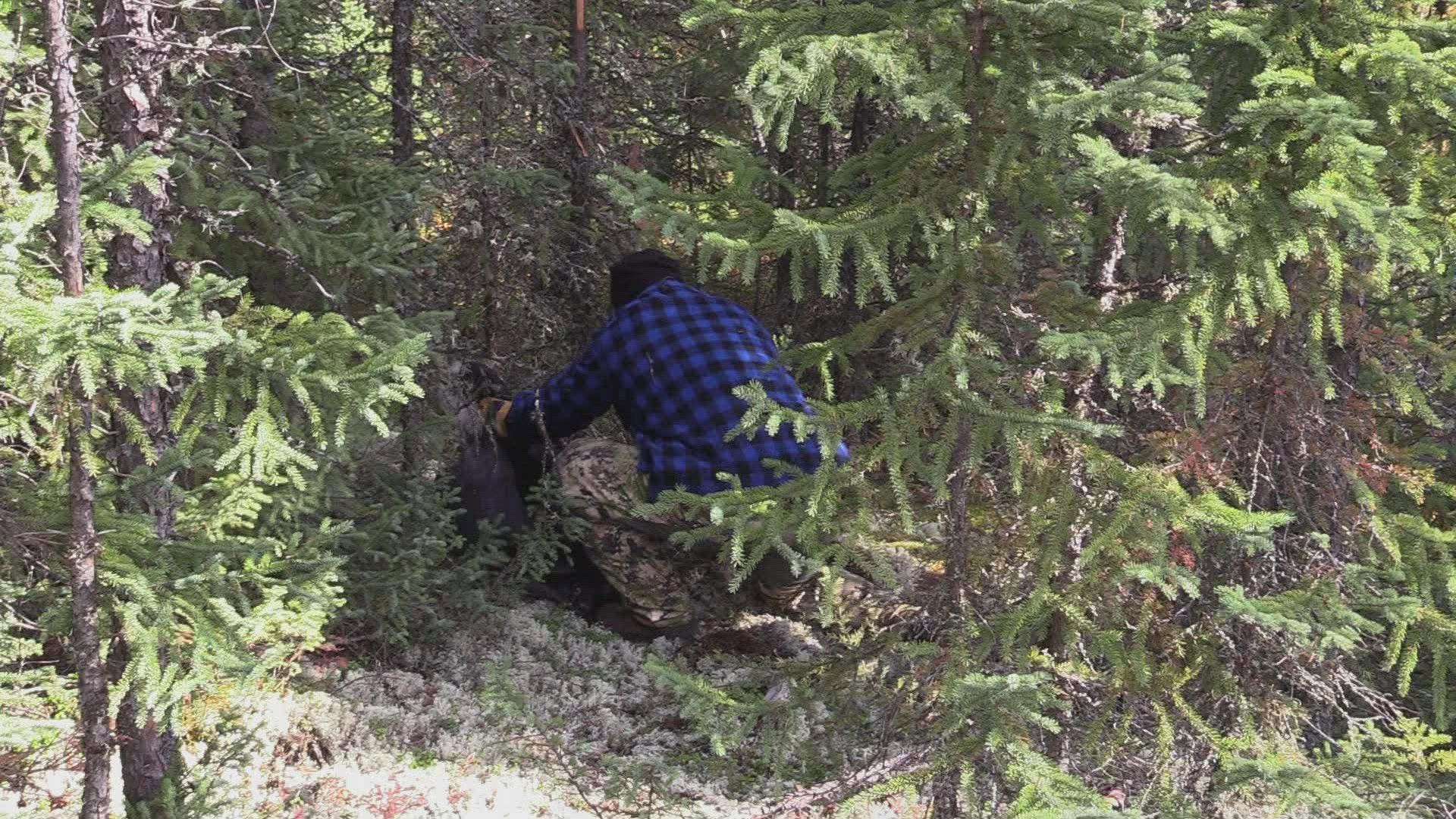 Still from Most Dangerous Moments