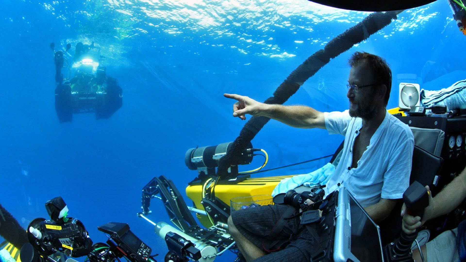 Still from Giant Squid: Filming the Impossible