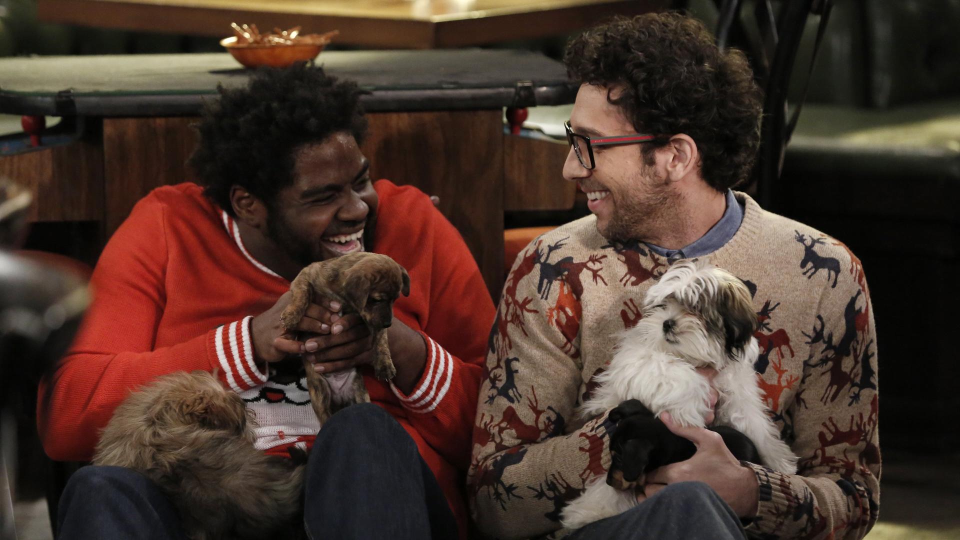 Still from A Box of Puppies Walks Into a Bar