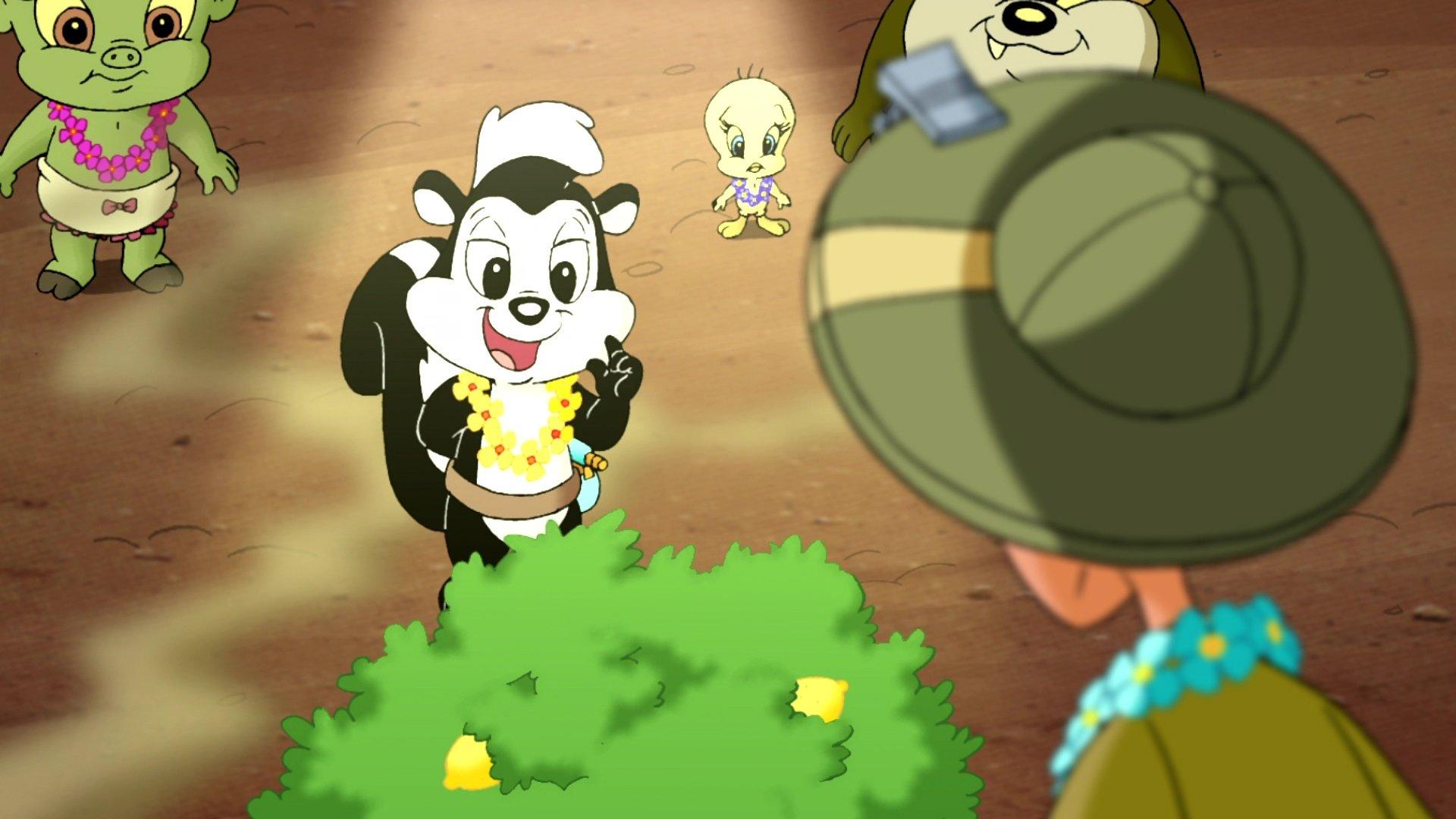 Still from Stop and Smell Up The Flowers