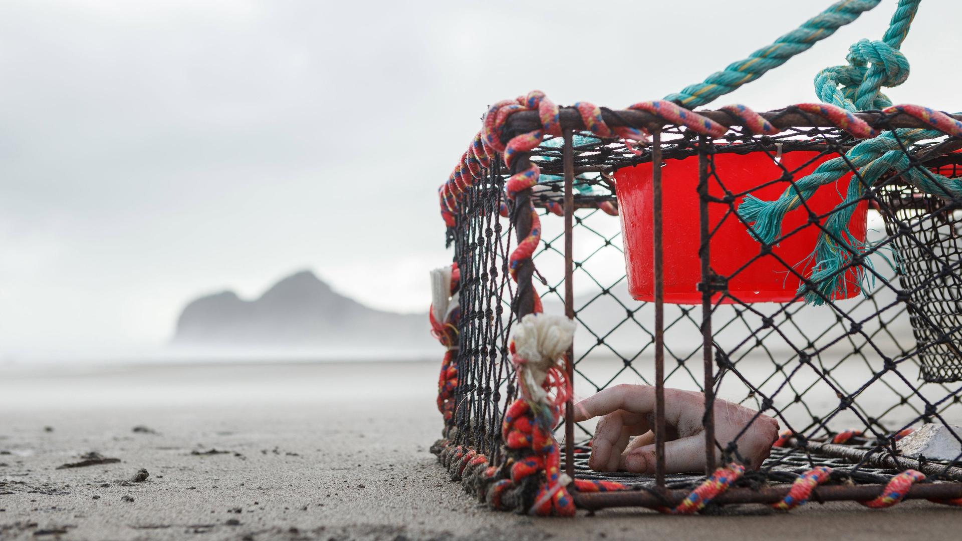 Still from Catch of the Day
