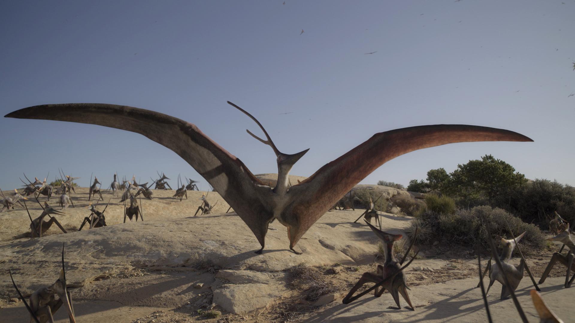 Still from Uncovered: Flamboyant Flyers