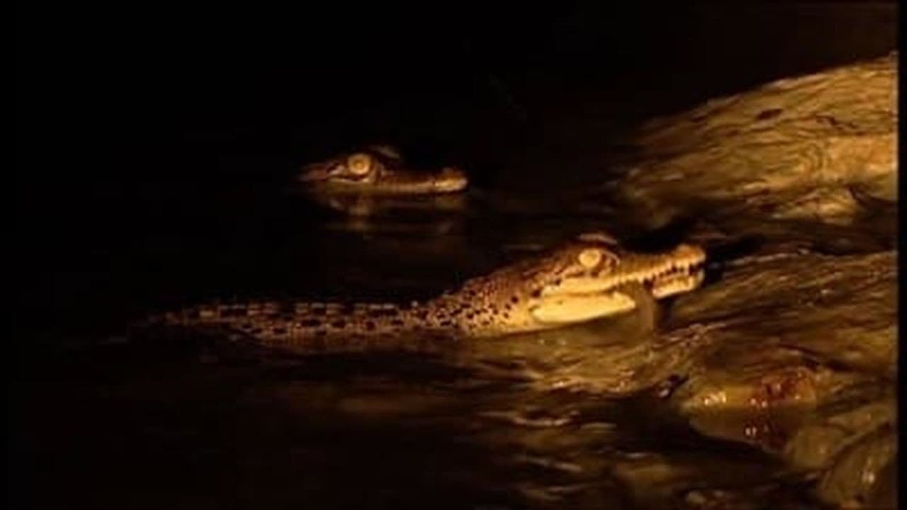 Still from Invasion of the Crocodiles