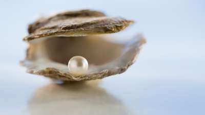 Still from Freshwater Pearls, Knives, Hippo Roller