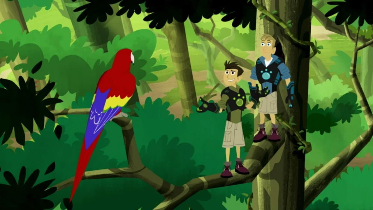 Still from Parrot Power