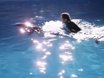Still from A Dolphin Song For Lee (2)