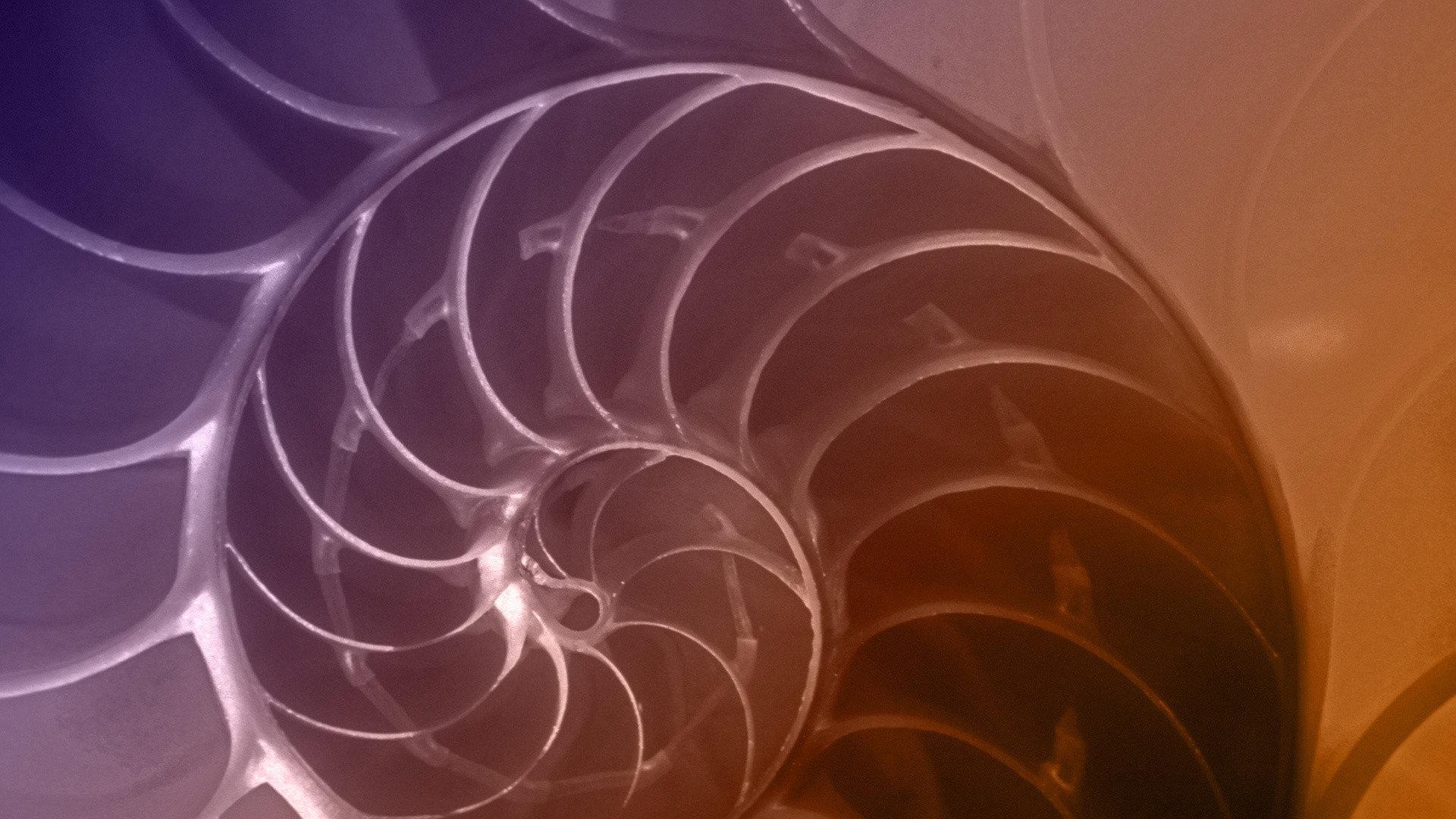 Still from The Great Math Mystery
