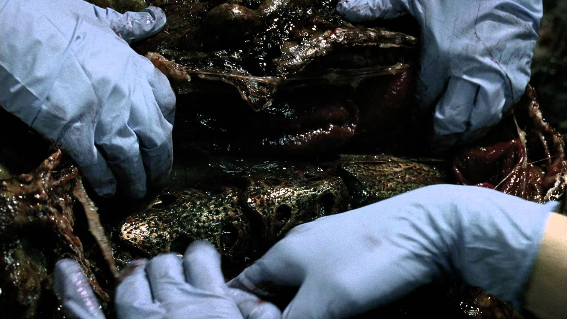 Still from What Hides Beneath