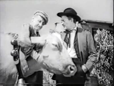 Still from Moo Moo Raid