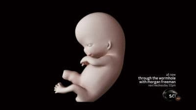 Still from When Does Life Begin?