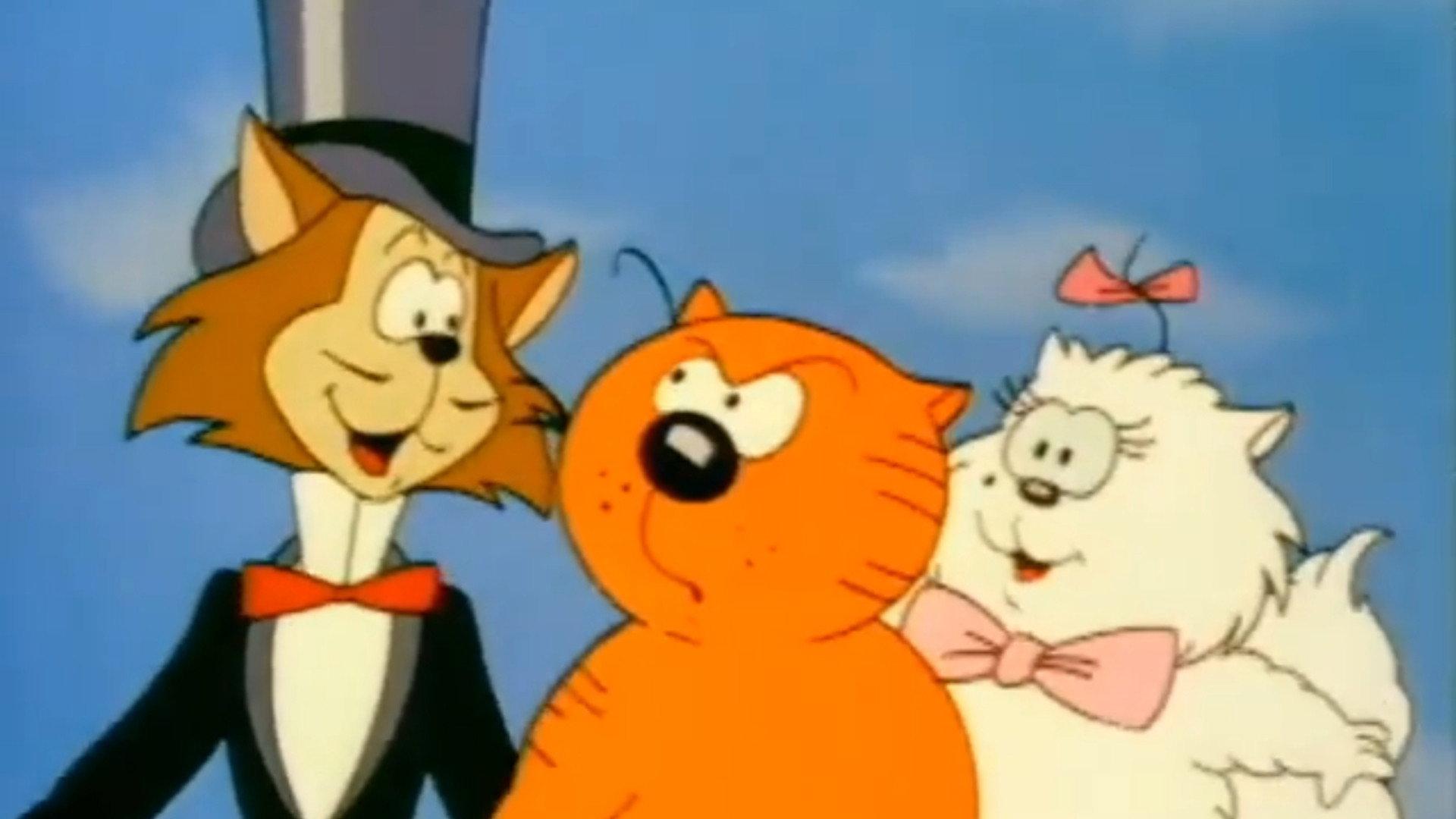 Still from City Slicker Cat