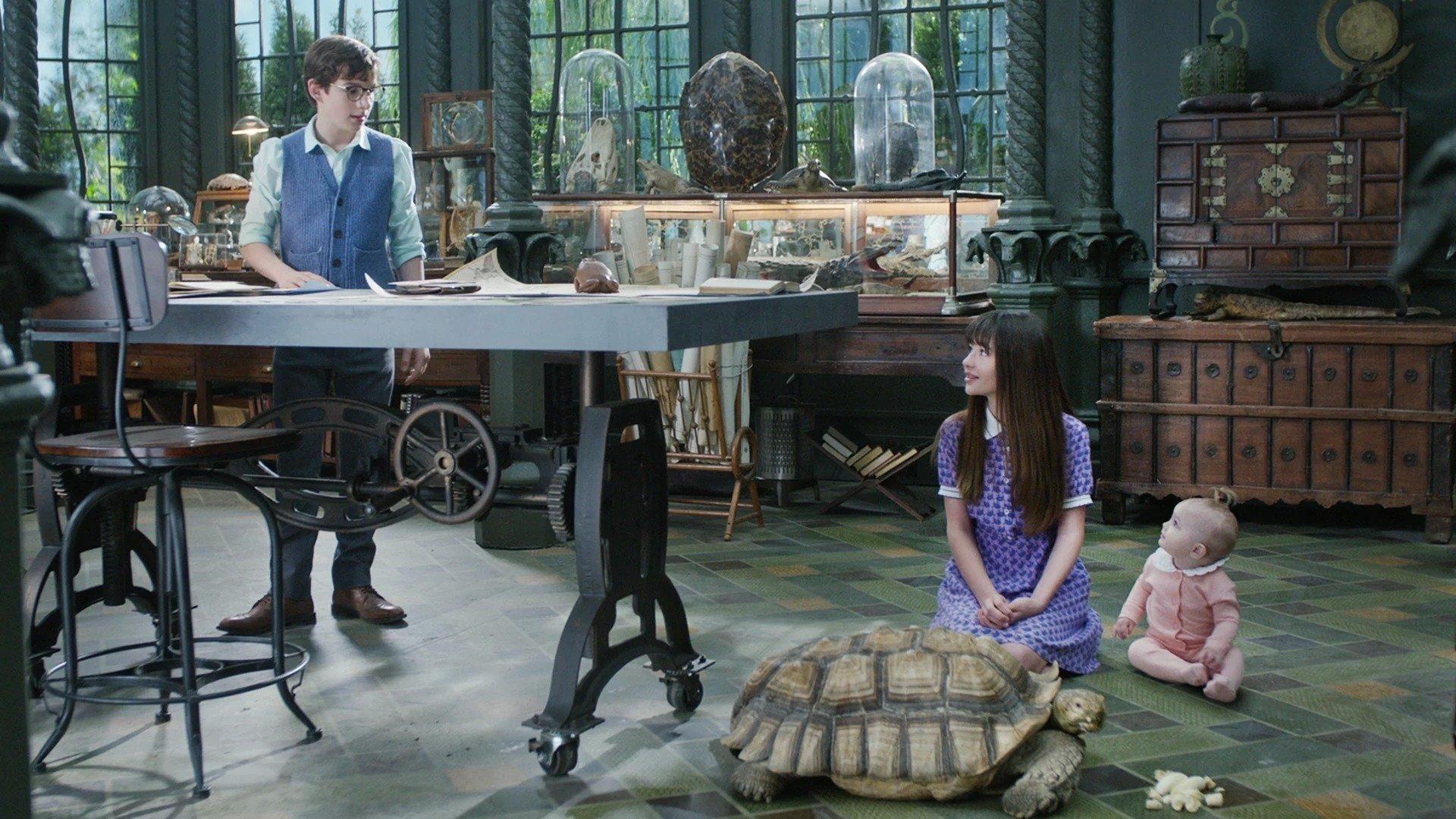 Still from The Reptile Room (1)