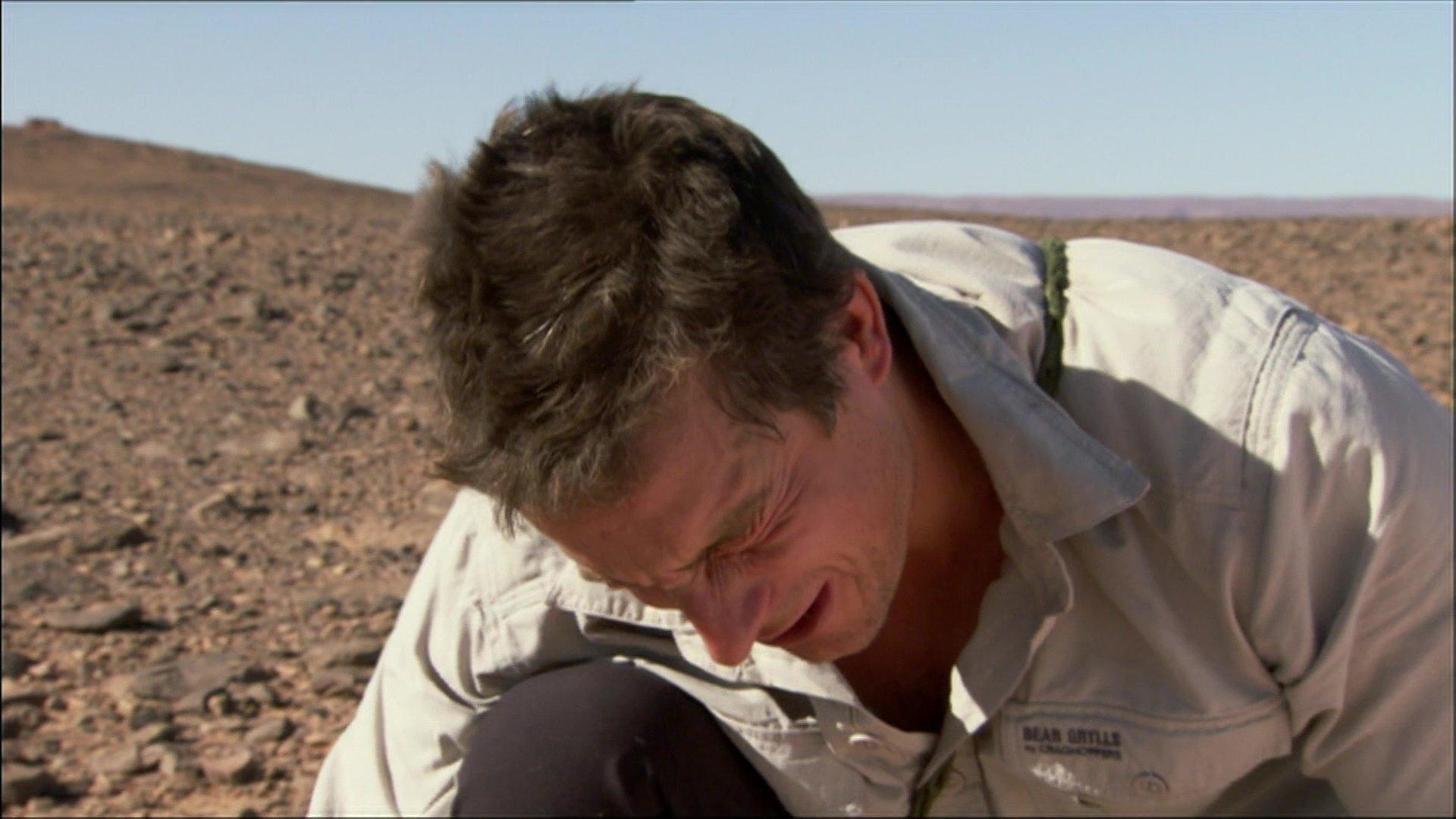 Still from Bear Eats