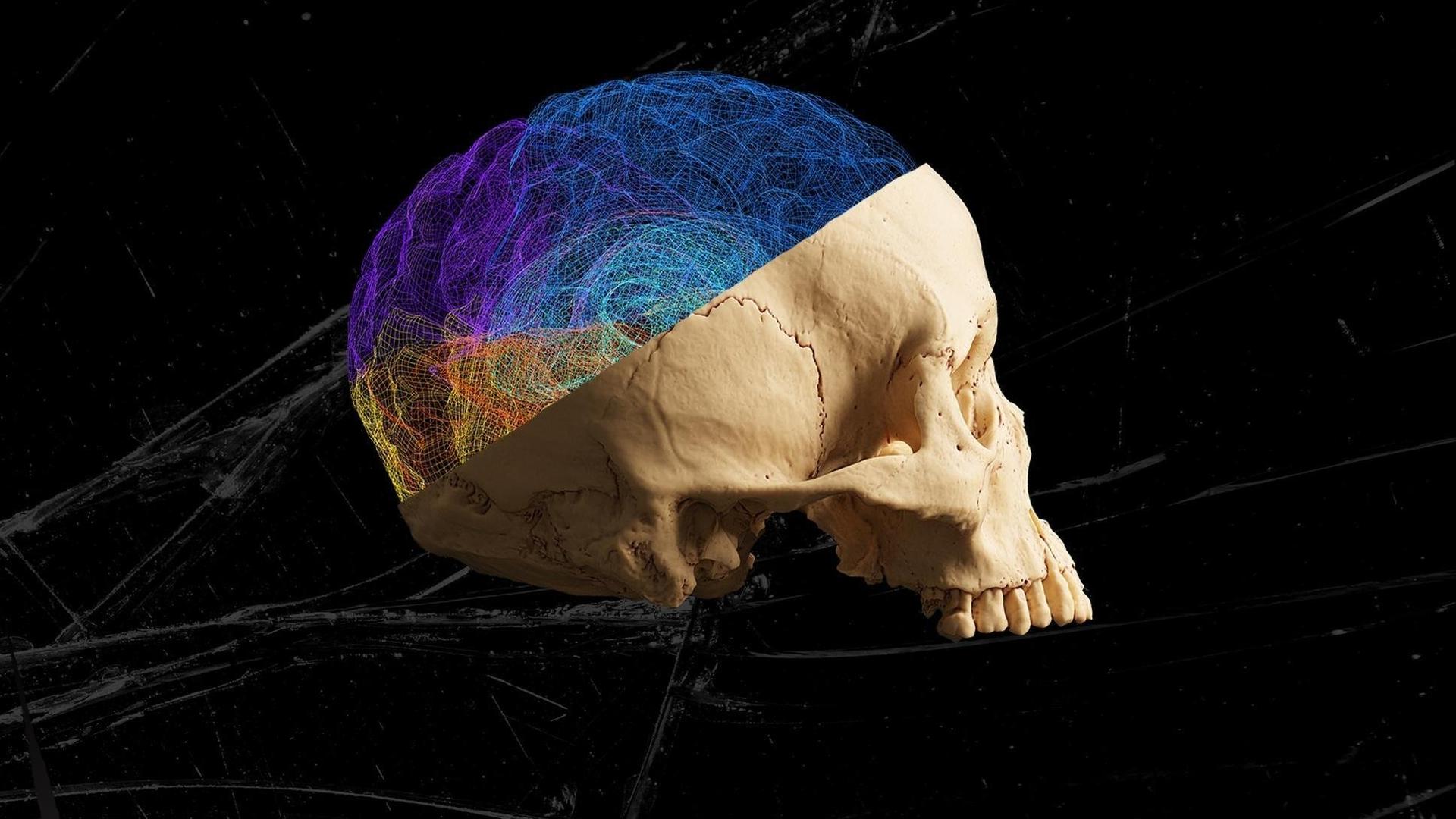 Still from The Violence Paradox
