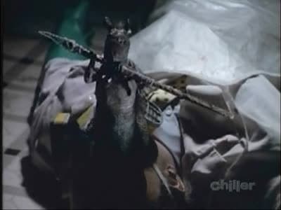 Still from Stressed Environment