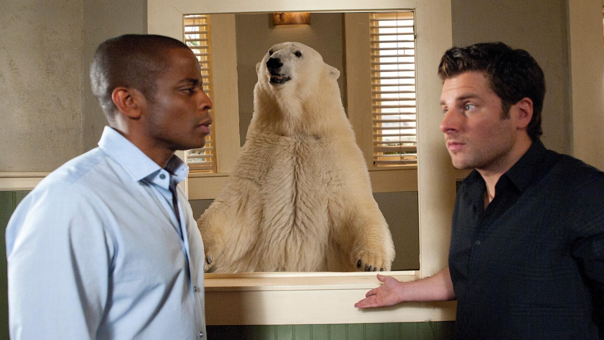 Still from Dead Bear Walking