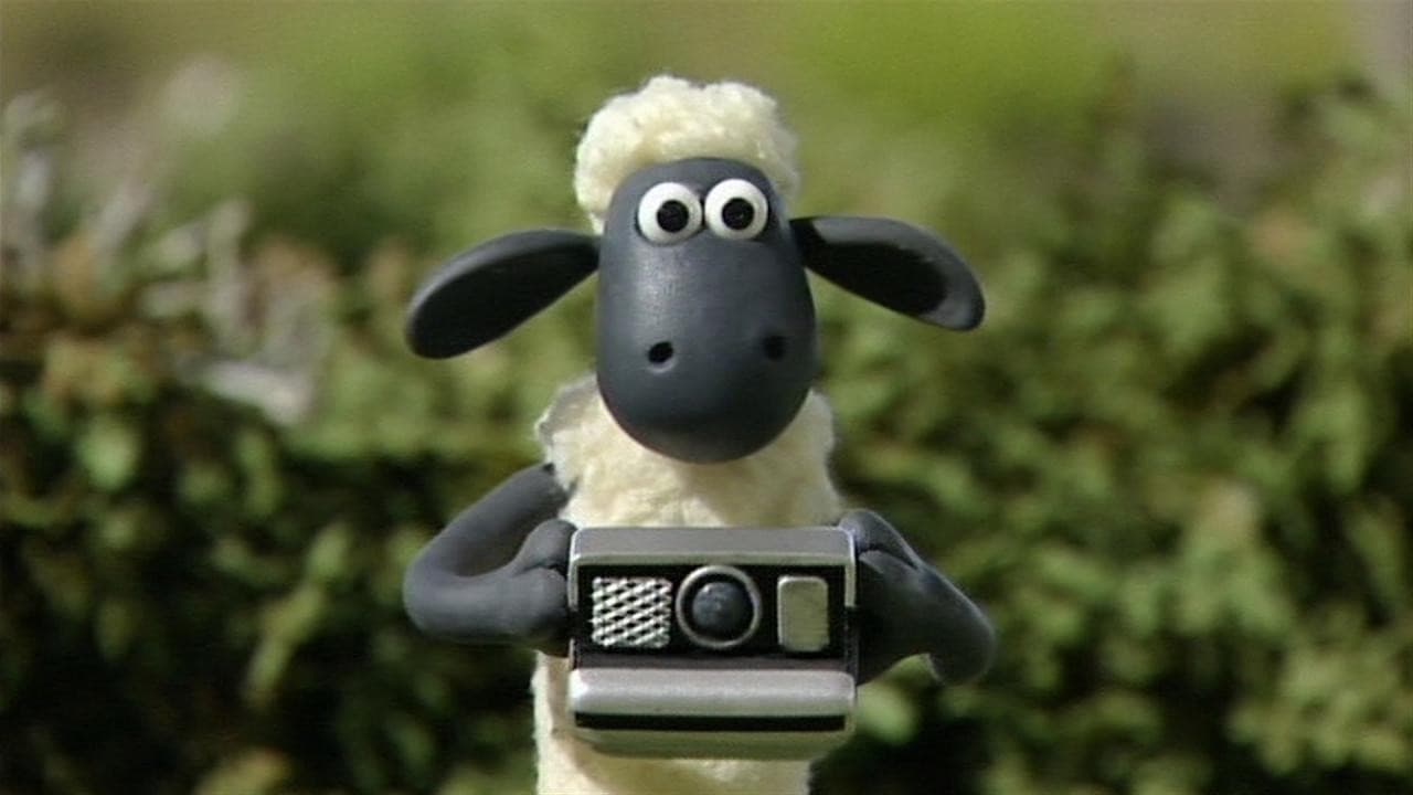 Still from Shaun Shoots the Sheep