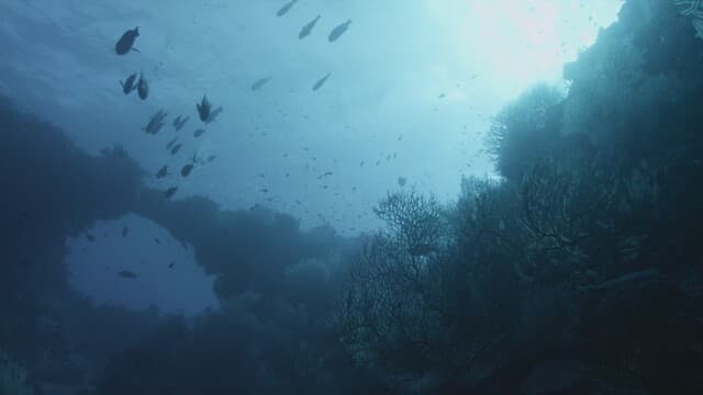 Still from Underwater Alien Bases