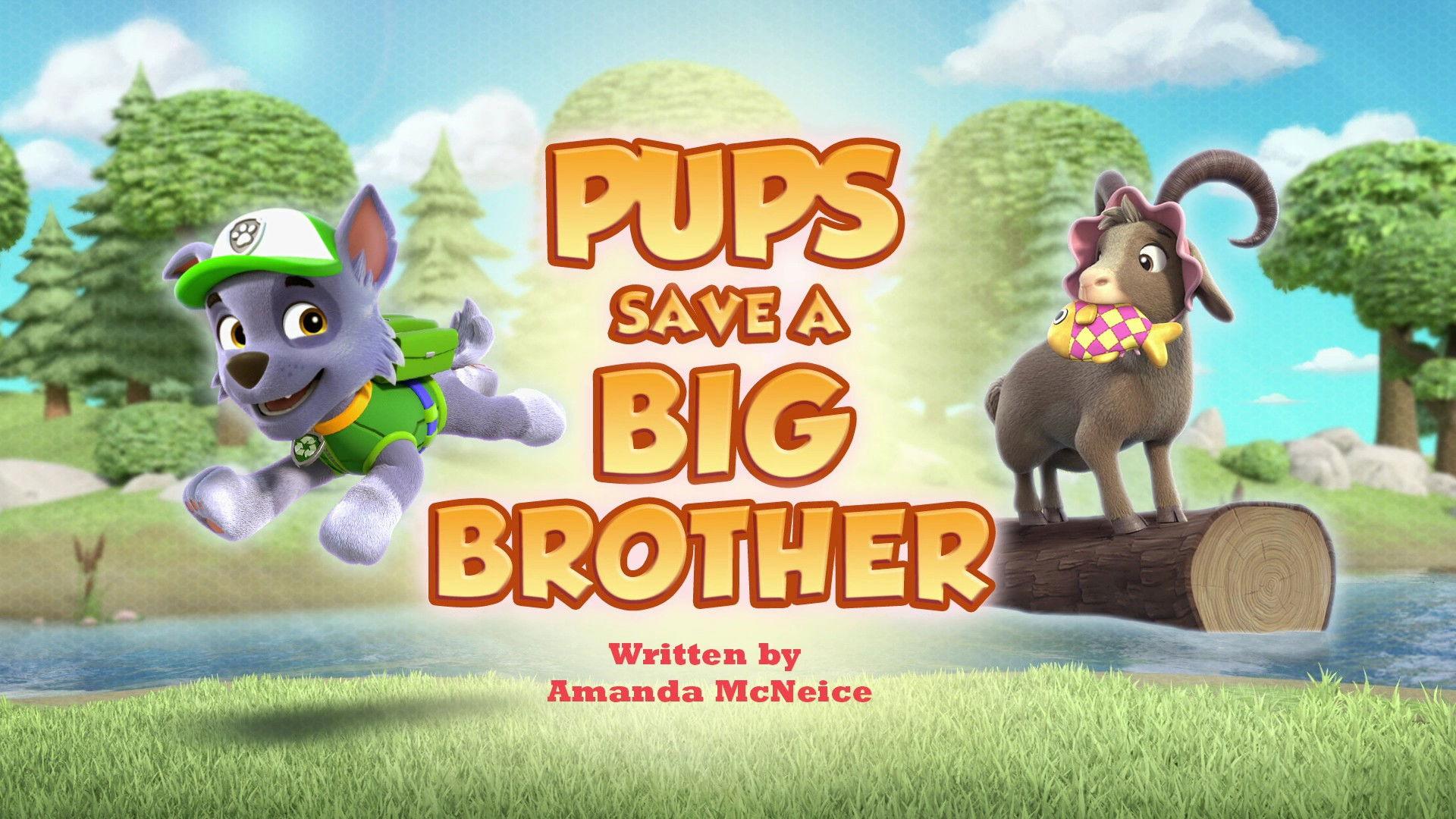 Still from Pups Save a Big Brother