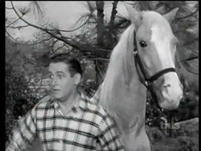 Still from Hunting Show