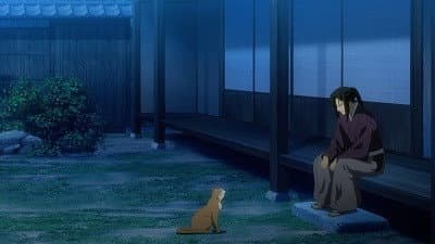 Still from Cat