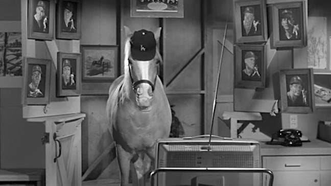 Still from Leo Durocher Meets Mister Ed