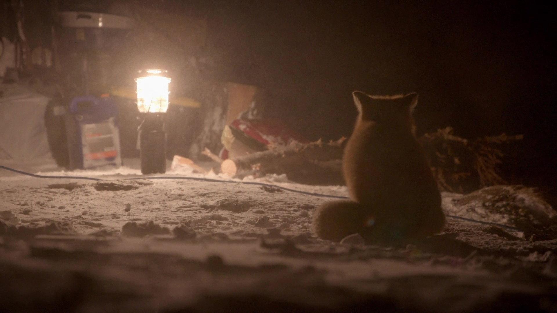 Still from Shadow Dwellers