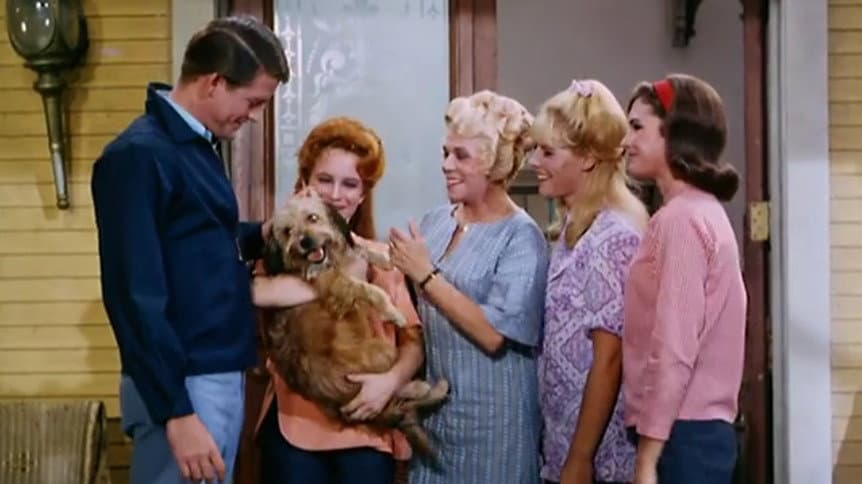 Still from His Highness the Dog