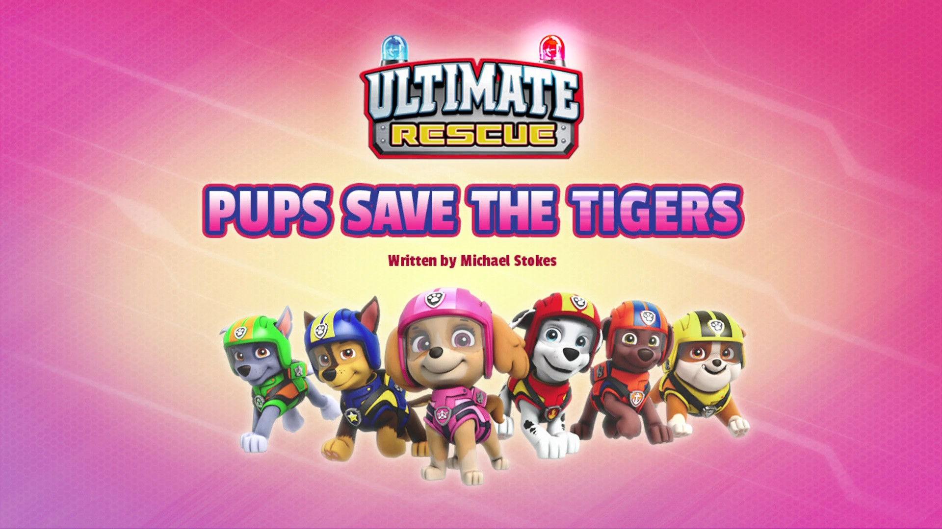 Still from Ultimate Rescue: Pups Save the Tigers