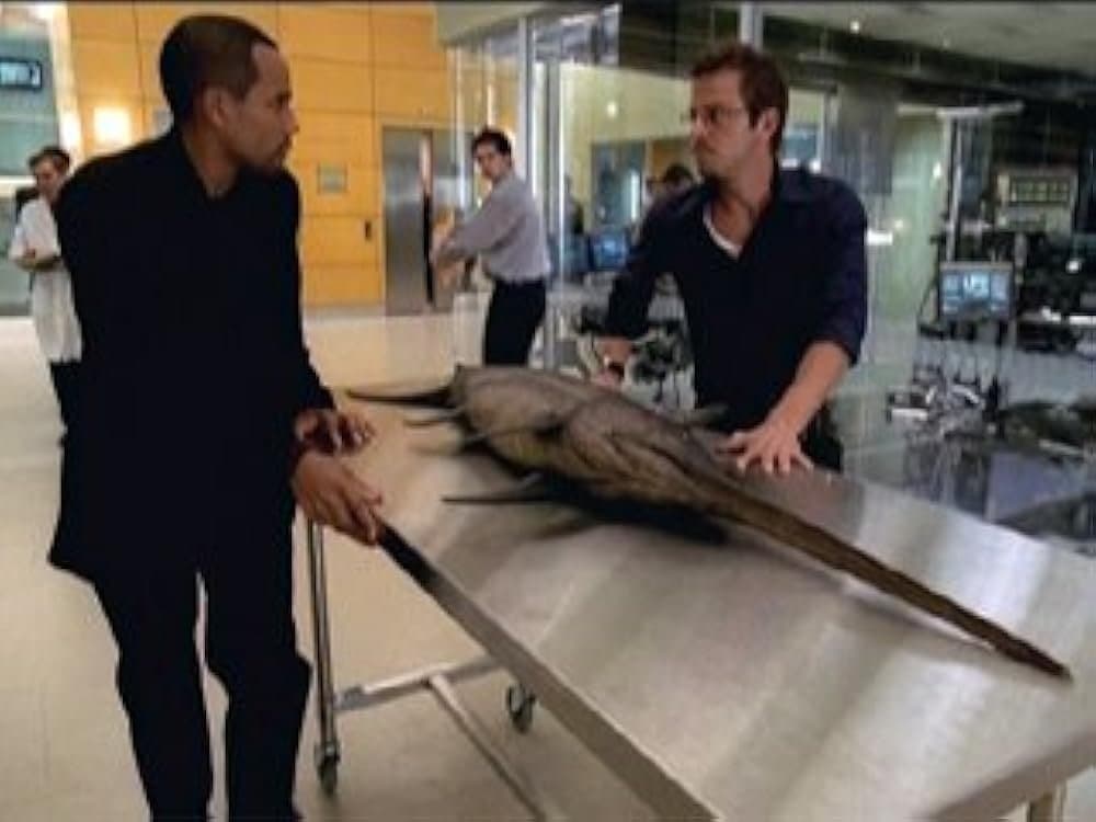 Still from Dancing With The Fishes