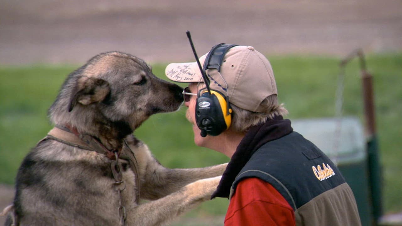 Still from Dogs