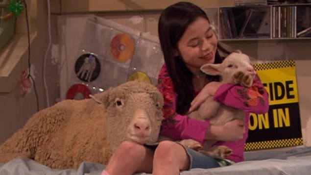 Still from Sheep Thrills