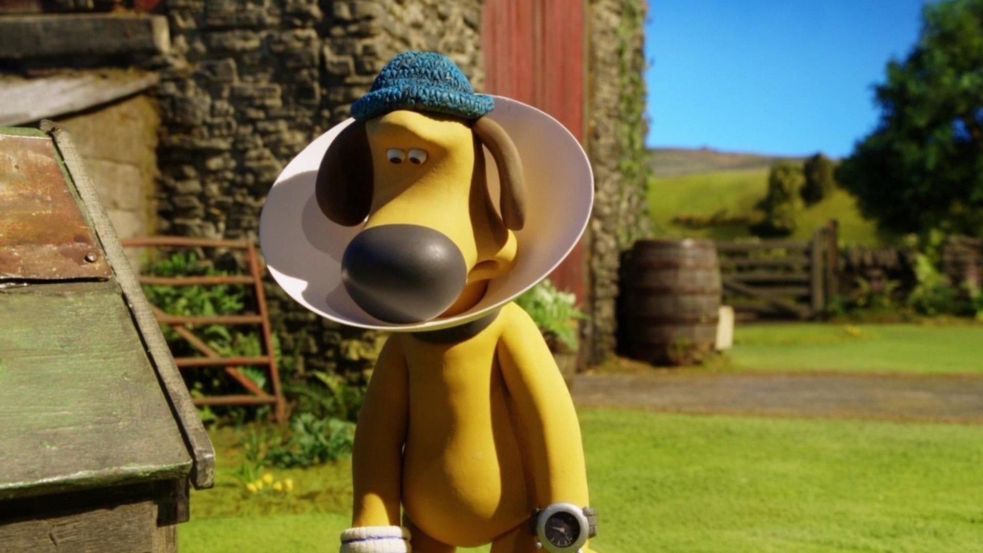 Still from Cone of Shame