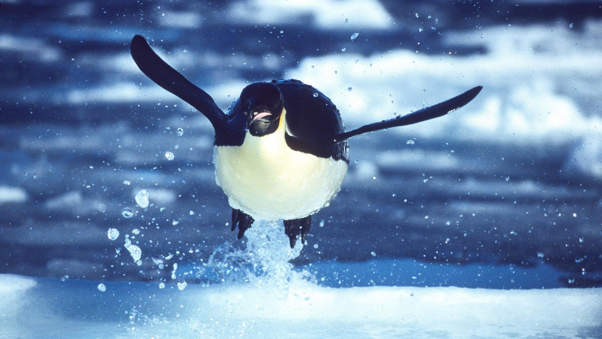Still from Frozen Seas