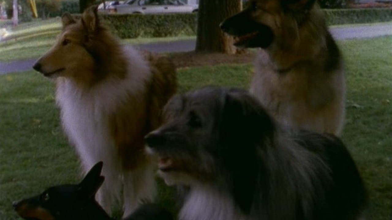 Still from My Hairiest Adventure