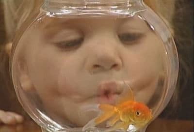 Still from A Fish Called Martin