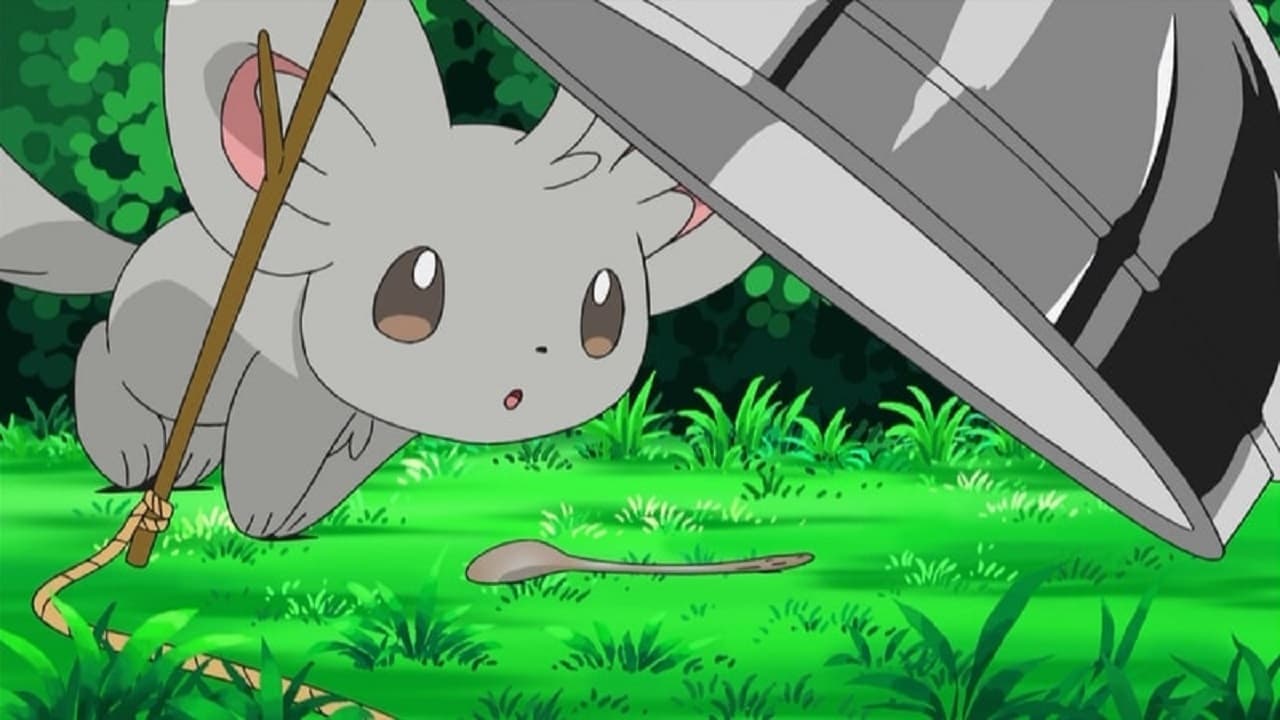 Still from Minccino-Neat and Tidy!