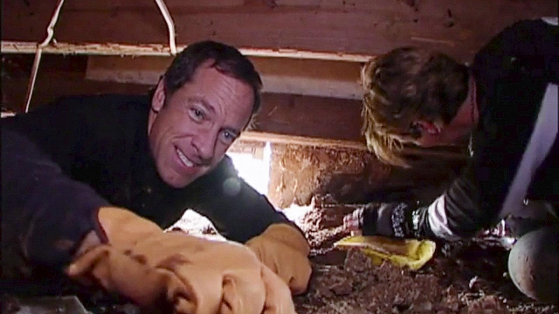Still from Termite Controller