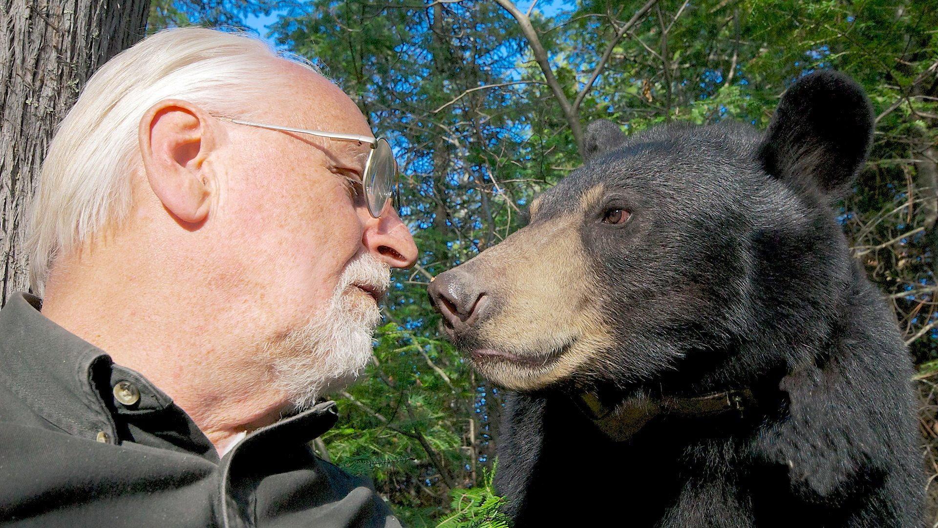 Still from A Bear With A Bounty