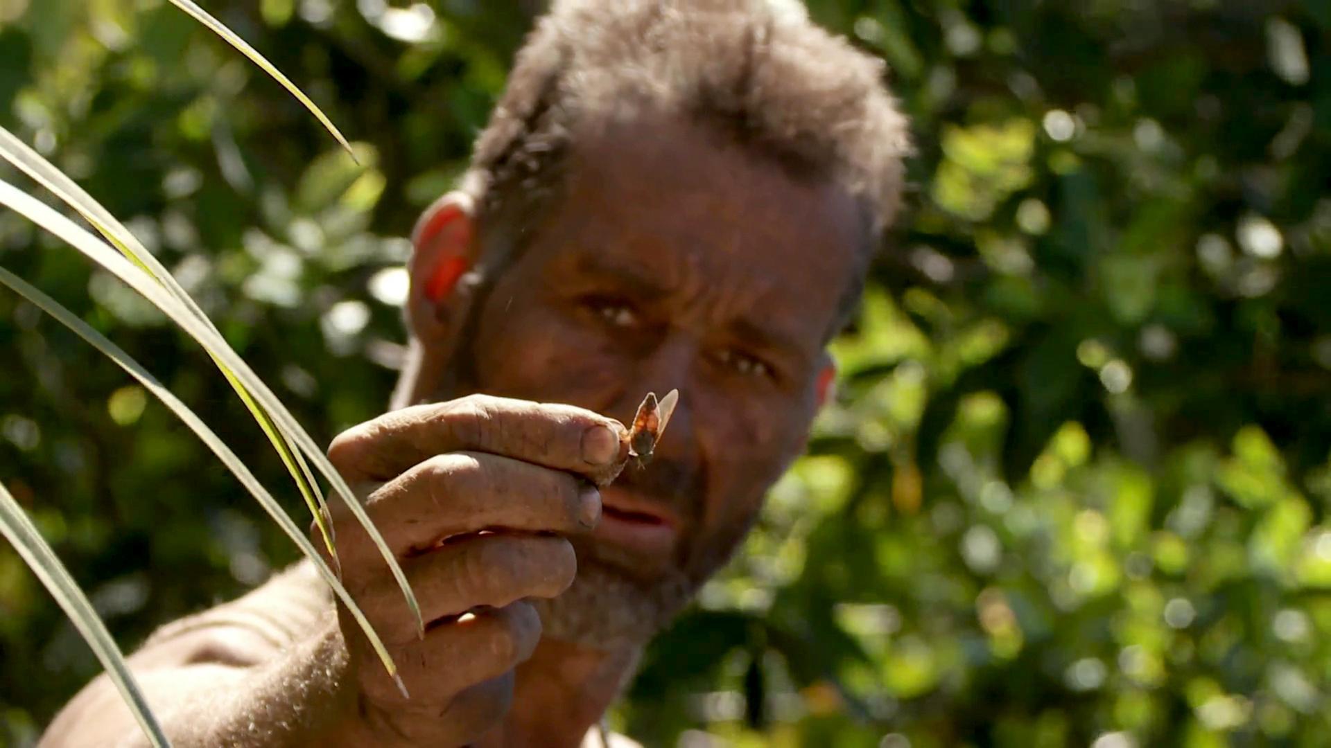 Still from Eaten Alive