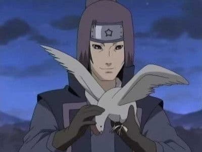 Still from Hidden Jutsu! The Price of the Ninja Art: Kujaku