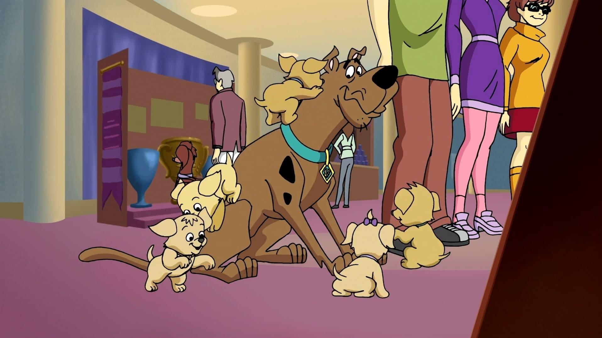 Still from Homeward Hound